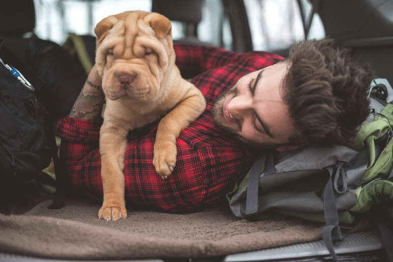 Traveling with his dog