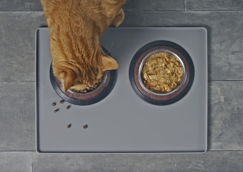 Cat eating dry food beside a food bowl with wet food, seen directly from above.