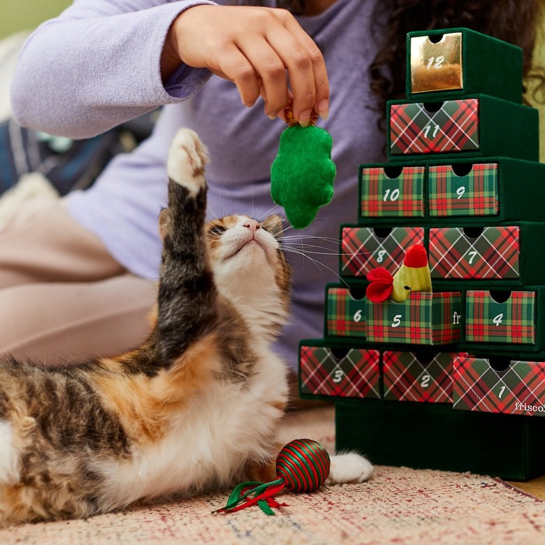 Cat and human playing together with toys in a 12-day, toy-filled cat advent calendar from Chewy.