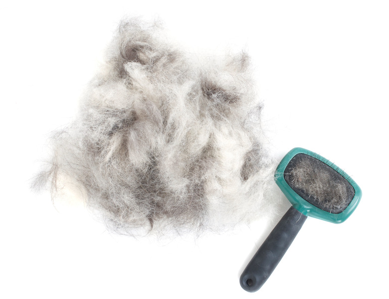 Dog Grooming Brush and Hair