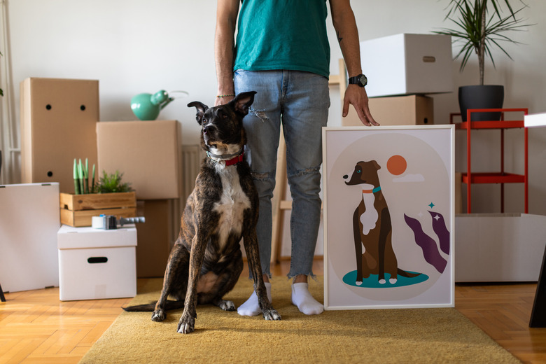 dog with portrait