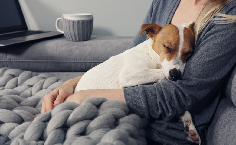 woman covered with warm blanket hugging sleeping dog.