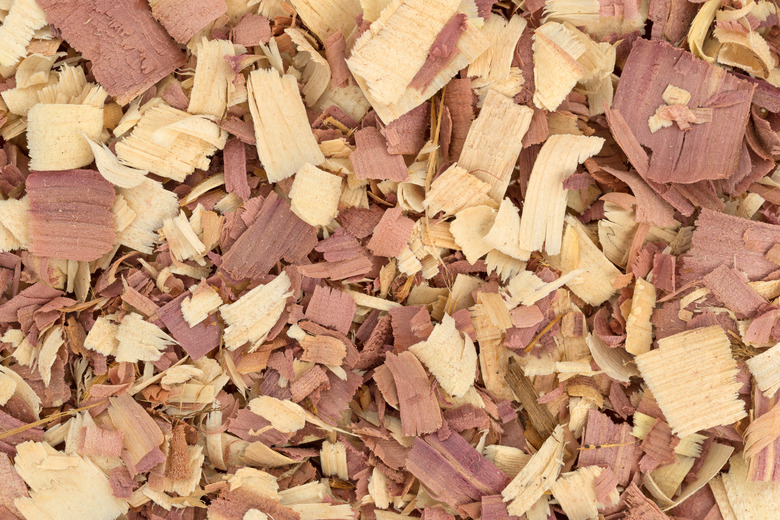 Cedar shavings for dog bedding best sale