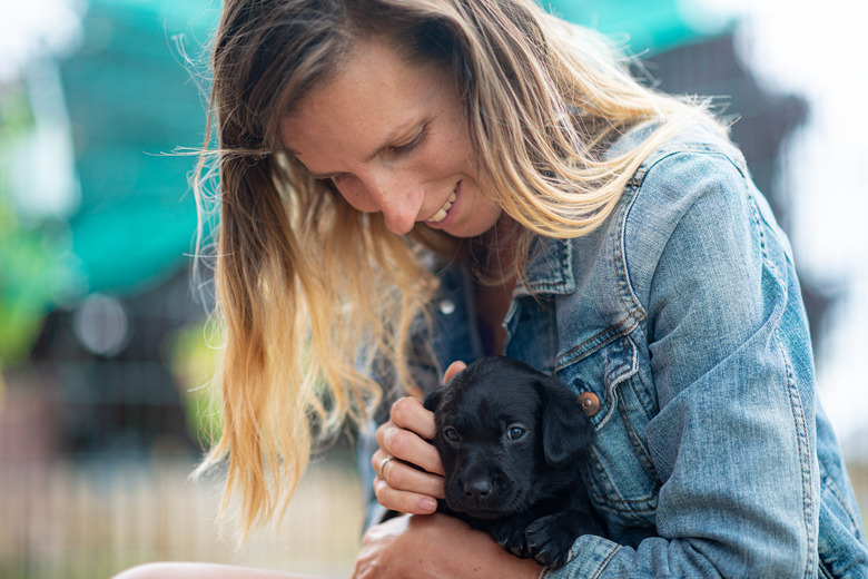 Woman cuddling labrador puppy