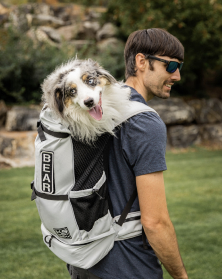 dog backpack