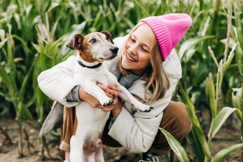 The Best Dog Food For Skin Allergies Cuteness