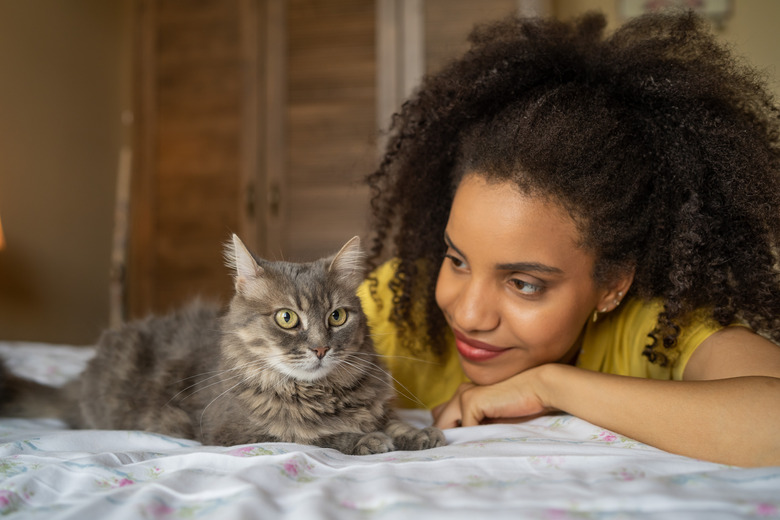 Young afro woman at home, petting her domestic cat, laying on the bed