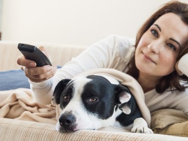 Woman watching television with dog