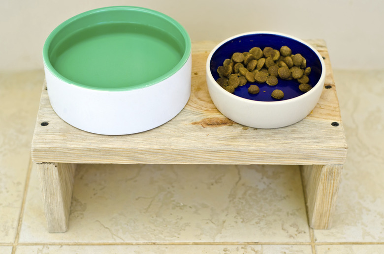 dog food bowl