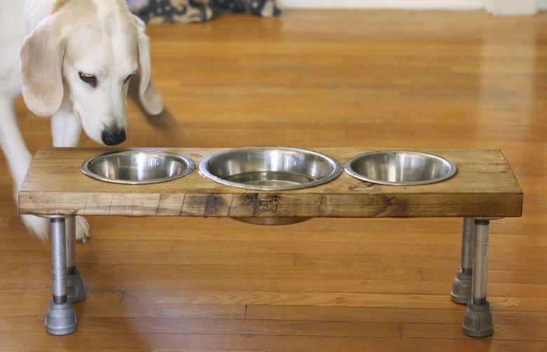 DIY industrial dog feeder