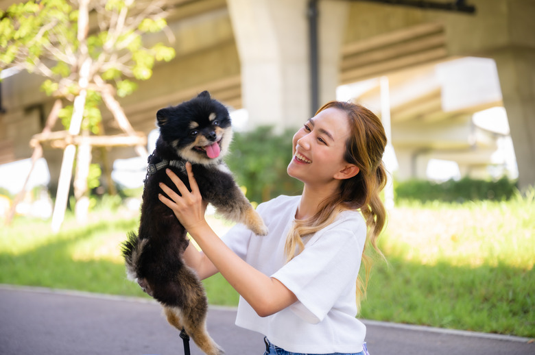 Happy young asian woman playing and sitting on road in the park with her dog. Pet lover concept