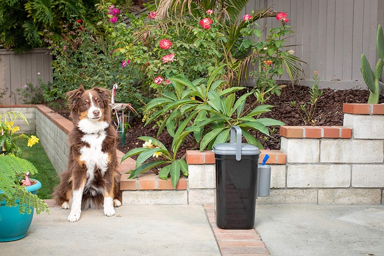 dog sitting next to a pet waste trash can