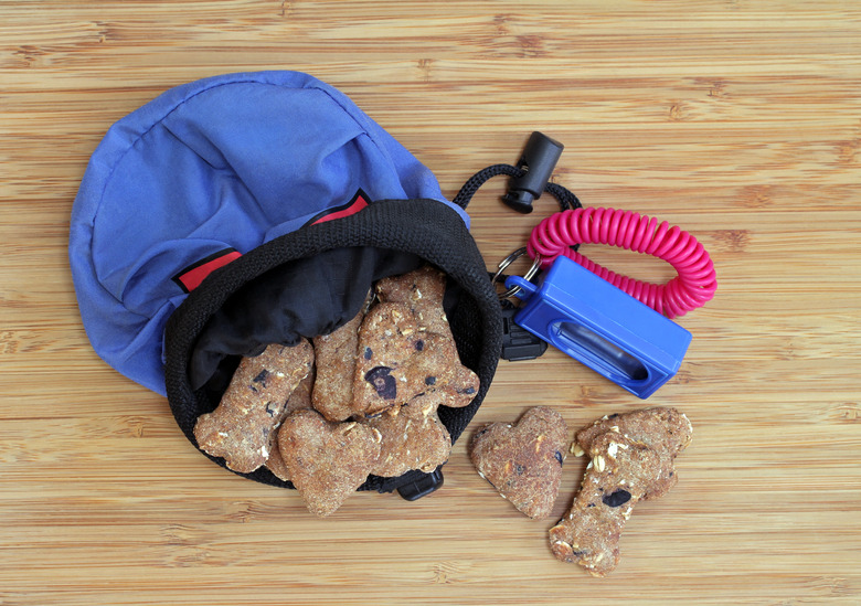 Dog cookies with a training pouch and clicker. Top view.