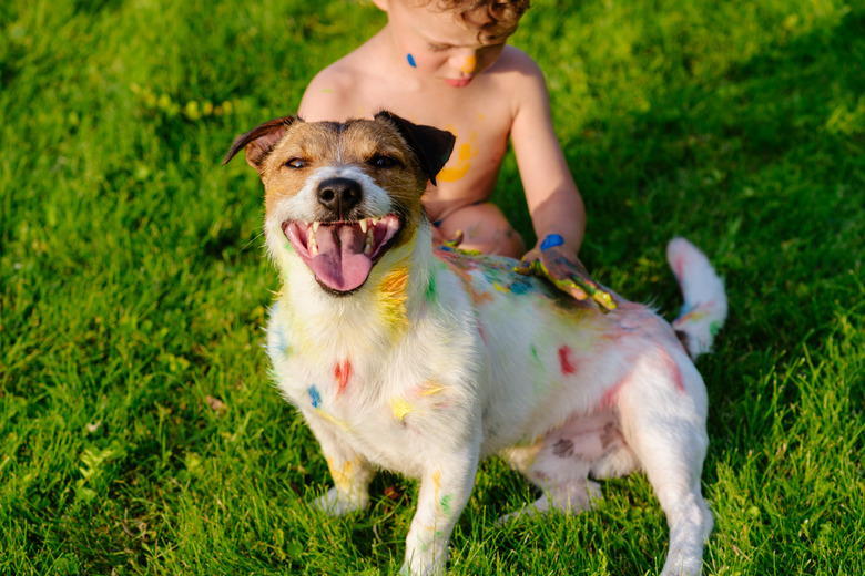 Kid painting with finger paint on happy domestic pet dog