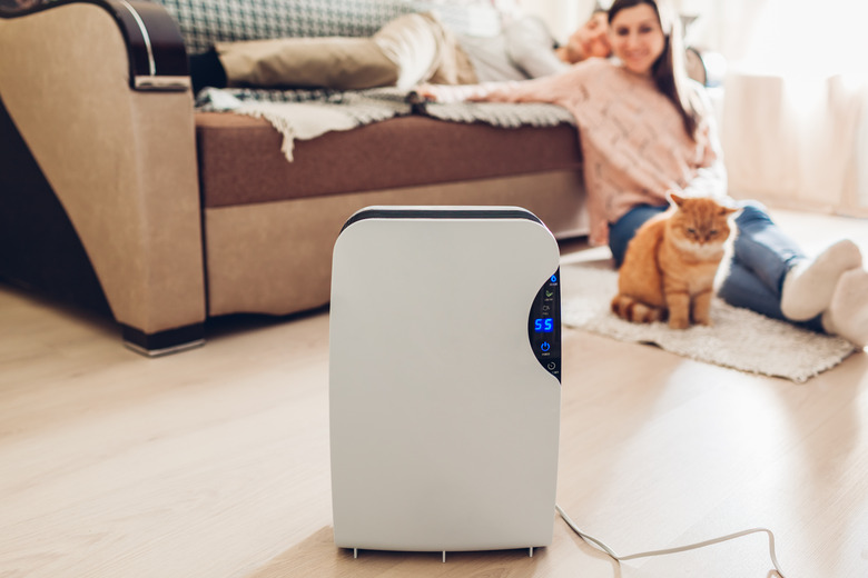 woman and cat looking at air purifier in living room