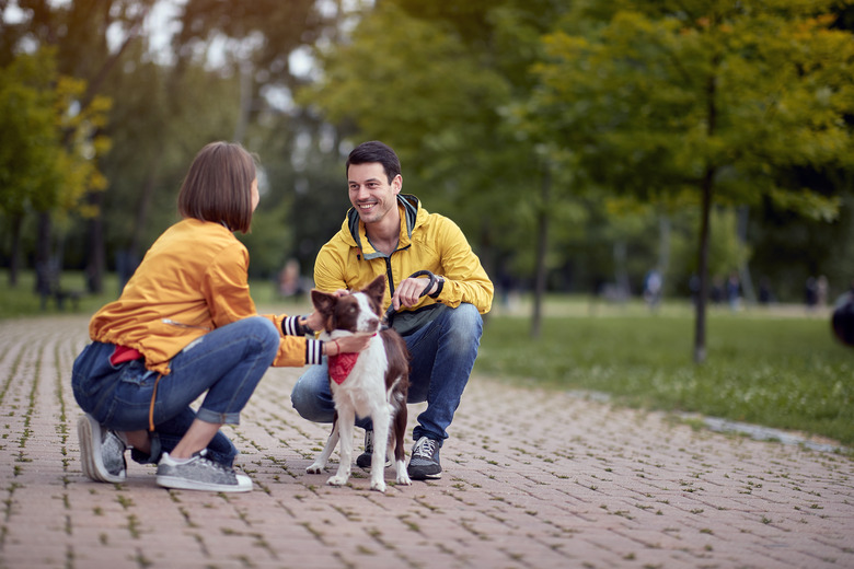 2 young people talking and petting a dog outdoors