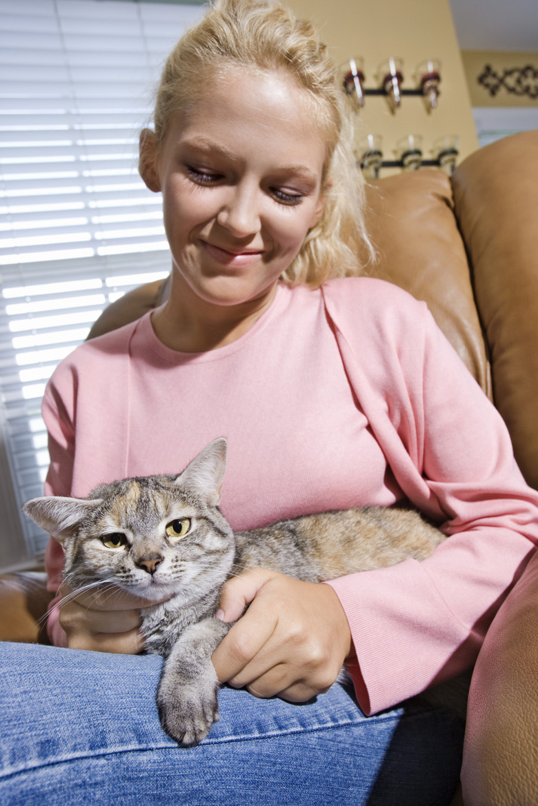 Kitten kneading blanket hotsell