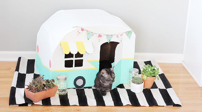 cat laying inside a cardboard kitty camper