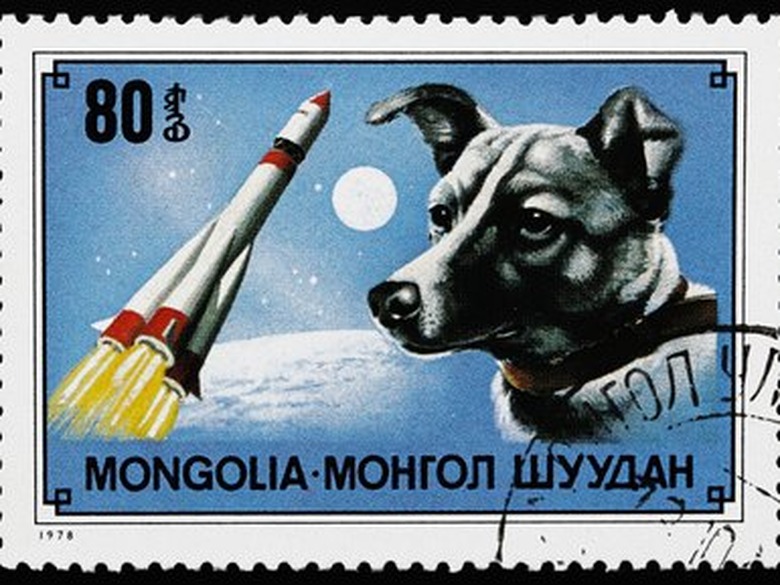 Laika stamp