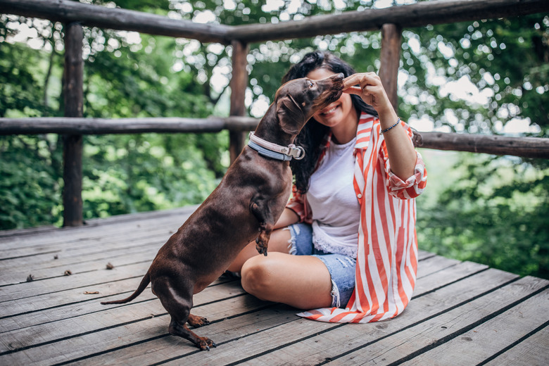 cute dachshund getting a treat from a smiling woman on a deck