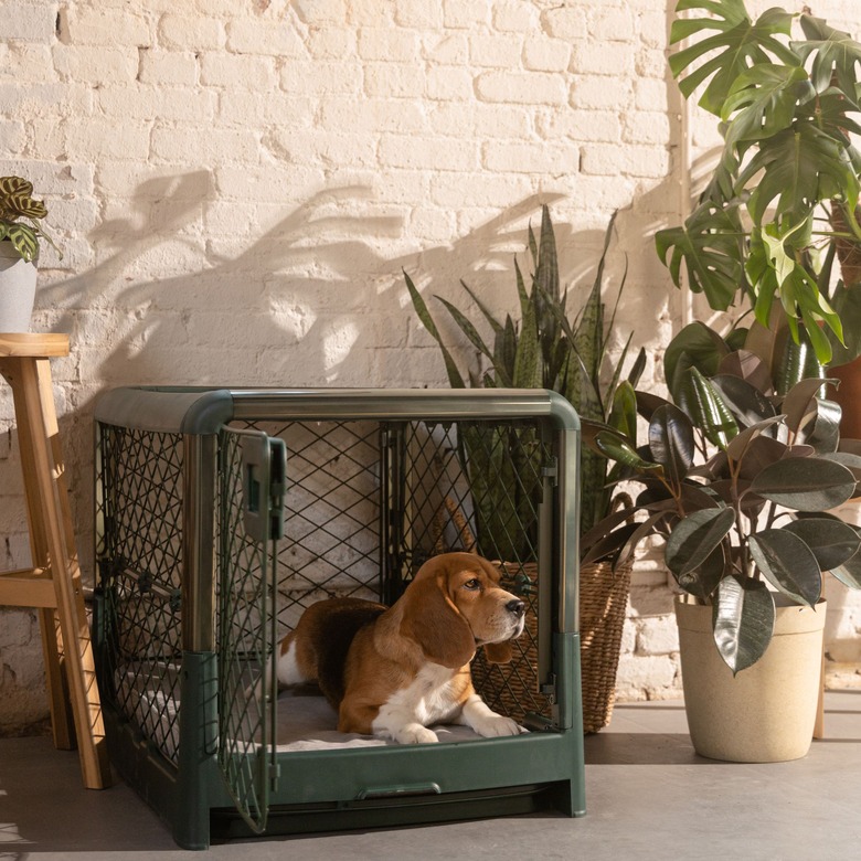 Should You Cover Your Dog s Crate Cuteness