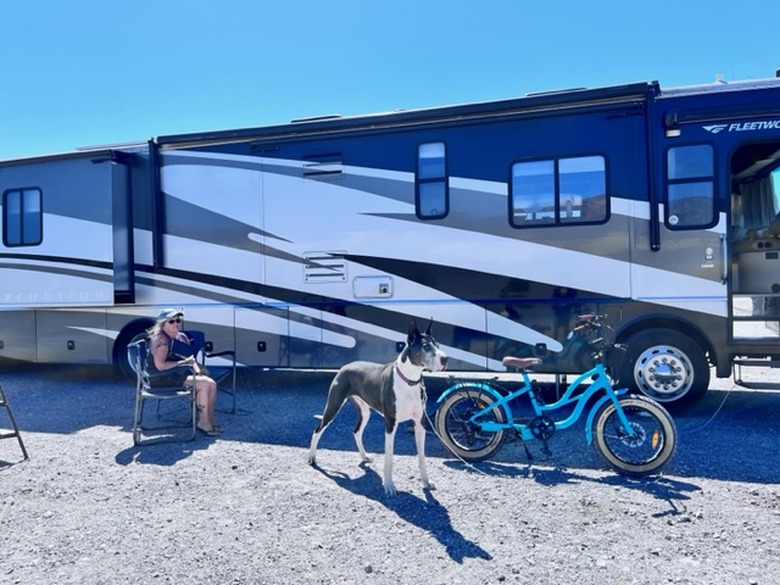 A Great Dane named Burce outside of his RV