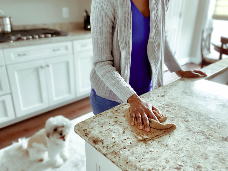 Woman Wipes Kitchen Counter