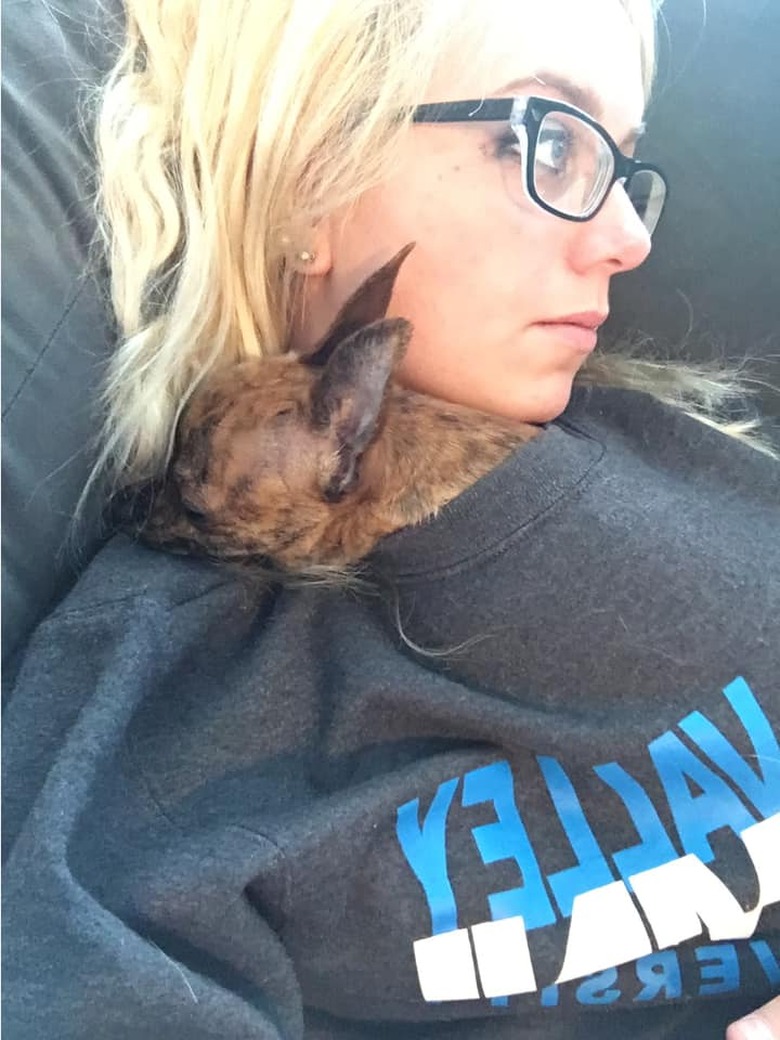 dog sleeps in woman