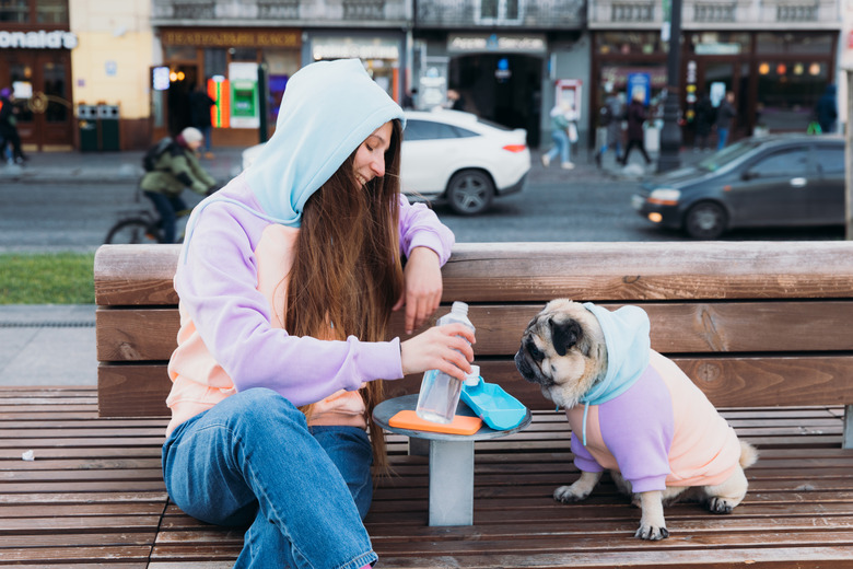 Happy female and her beautiful dog in the identical colorful hoodie enjoying the city walk