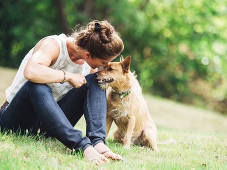 Adult Woman Enjoying Time with Pet Dog