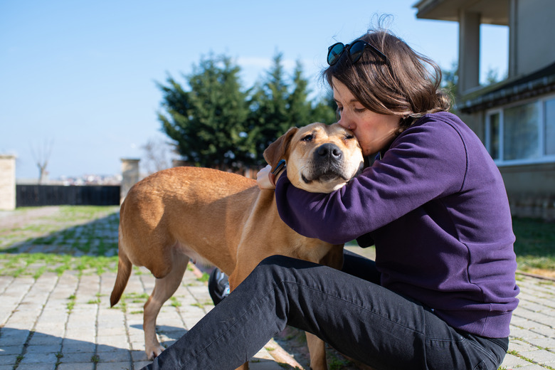 Woman playing with her disabled dog