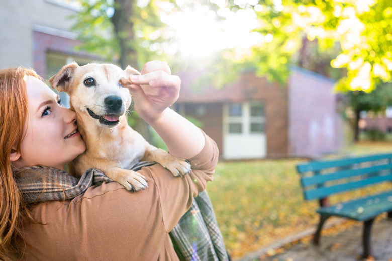 Young redhead woman give a treat to senior dog