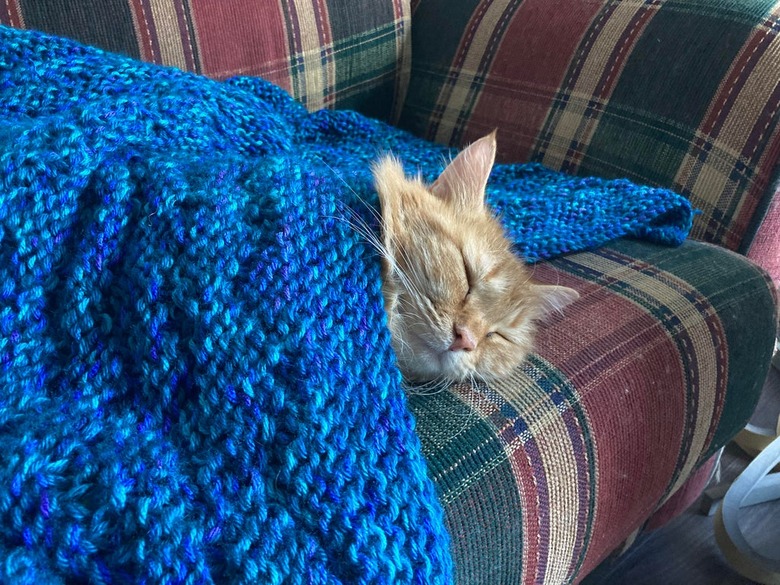 An orange tabby cat sleeps on a plaid couch beneath a blue knitted blanket.