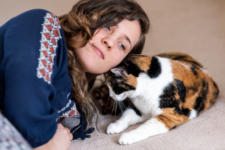 Young happy woman, owner, person bonding with calico cat bumping rubbing bunting heads, friends friendship companion pet affection face, cute adorable kitty