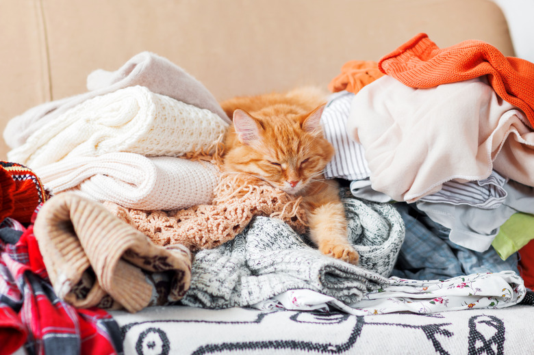 Cute ginger cat sleeps on a pile of knitted clothes.