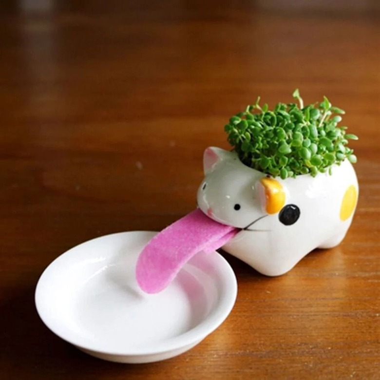 Self-watering cat planter with a long 