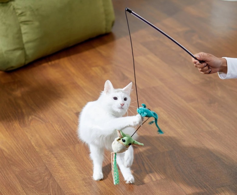 Cute white cat playing with Star Wars Grogu-themed cat wand toy.