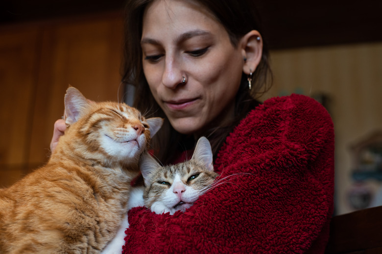 Woman playing with her cats at home