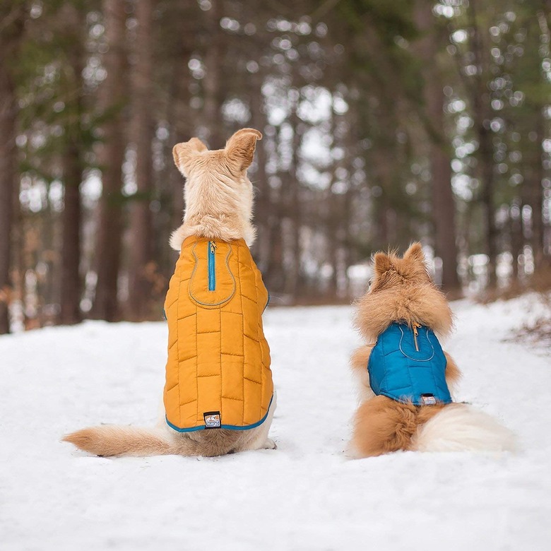 Two dogs in the snow wearing Kurgo jackets.