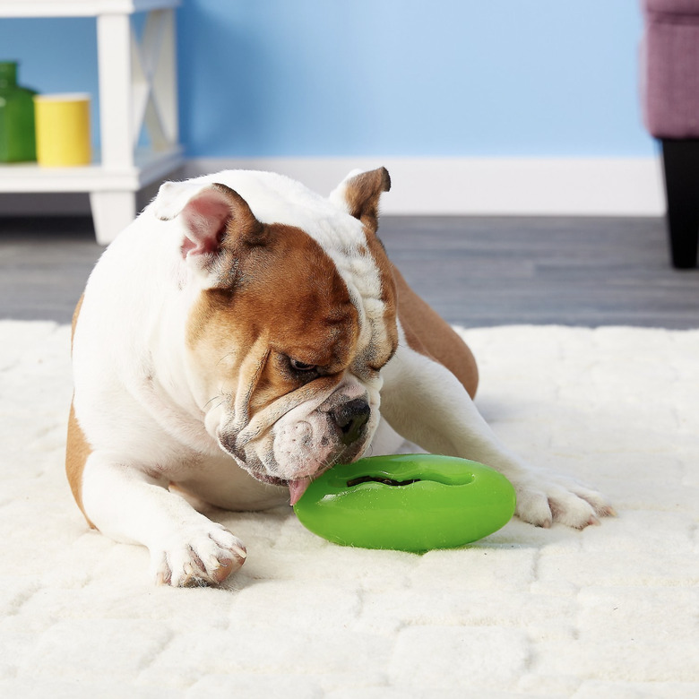 Starmark pickle pocket dog toy