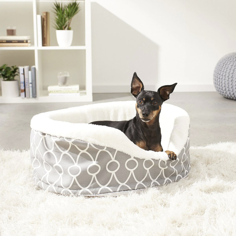 Small dog sitting in a gray bolster bed with a white geometric design. There