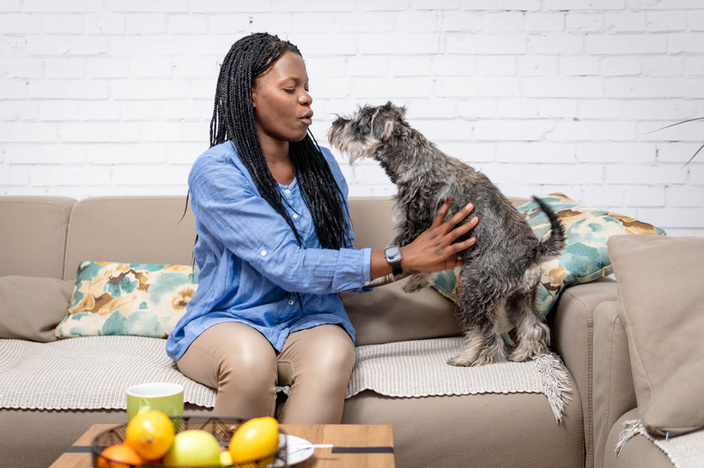 Woman playing with pet dog at home