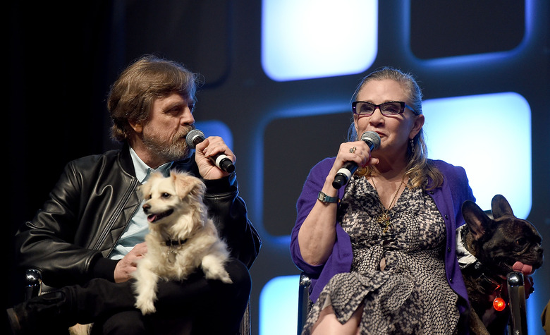 Carrie Fisher and Mark Hamill holding dogs on stage