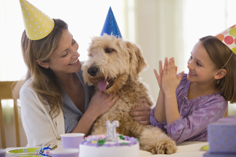 Mother and daughter giving dog birthday party