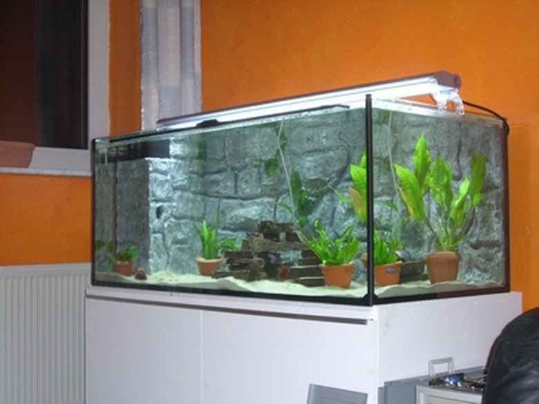 An aquarium tank