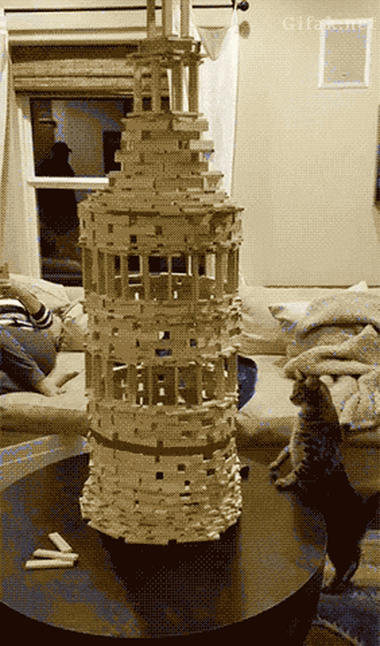 cat knocks over puzzle tower