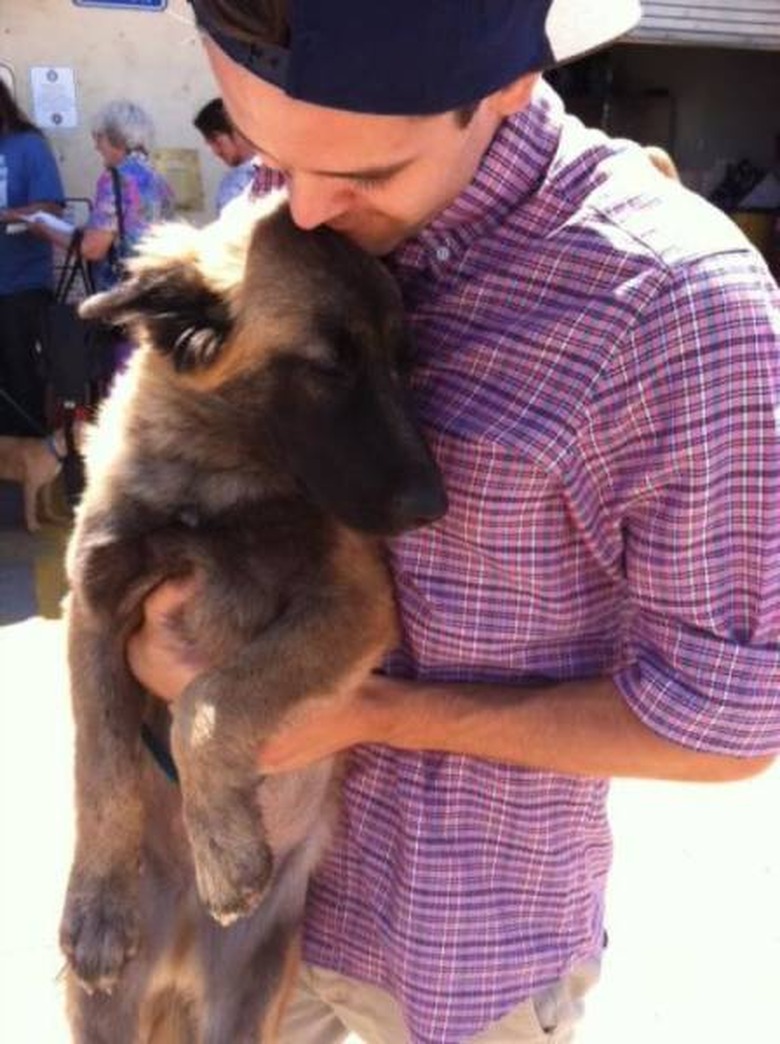 Only click on this gallery of dogs meeting their humans if you want to happy cry