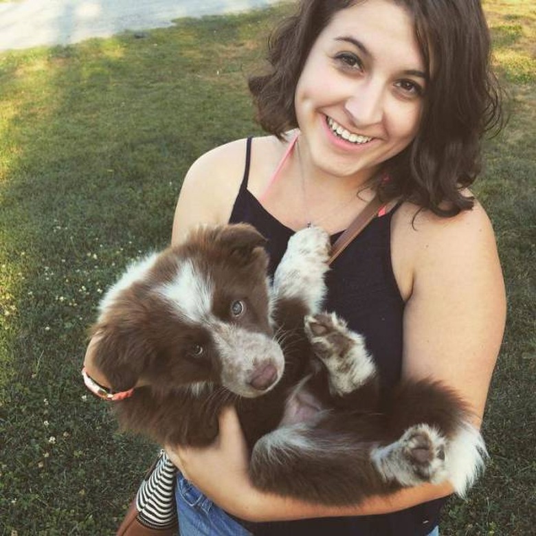 Only click on this gallery of dogs meeting their humans if you want to happy cry