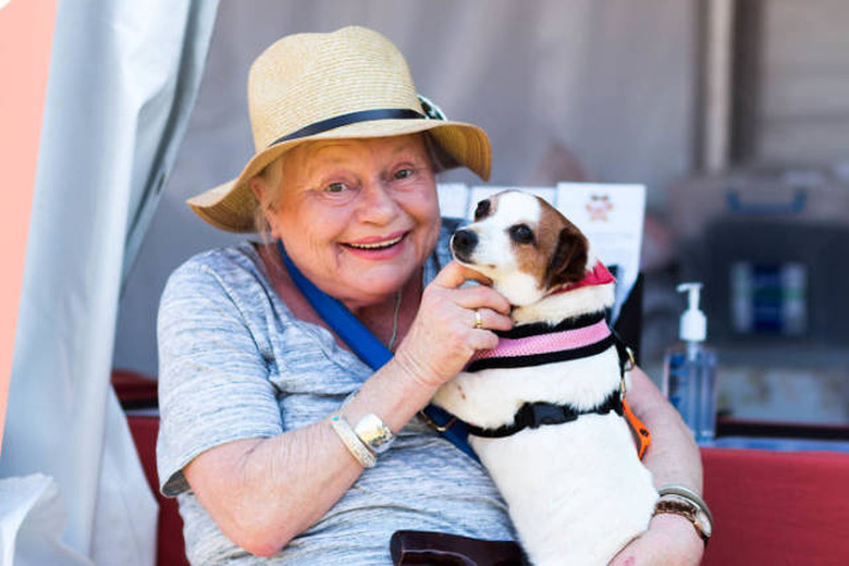 Only click on this gallery of dogs meeting their humans if you want to happy cry