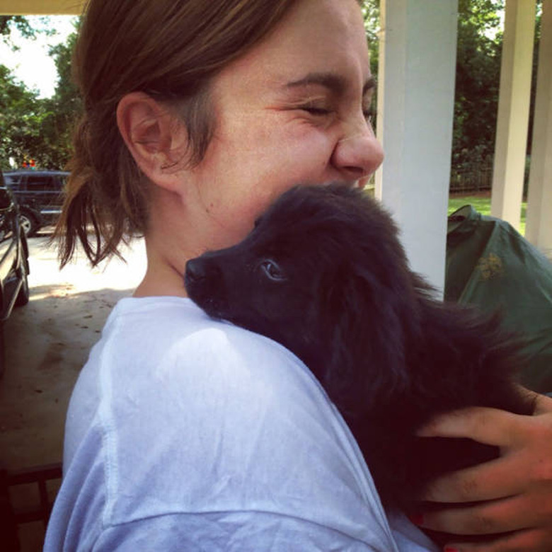 Only click on this gallery of dogs meeting their humans if you want to happy cry